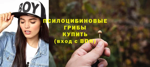 стафф Надым