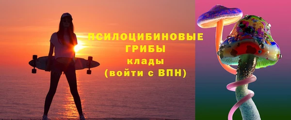spice Михайловка