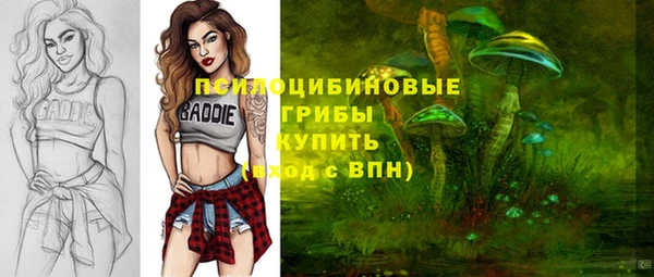 стафф Надым