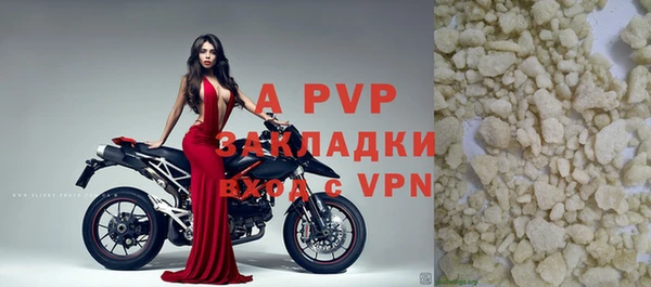 стафф Надым