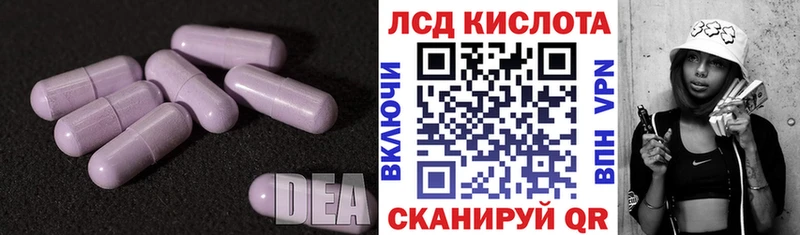 дарк нет официальный сайт  Торжок  LSD-25 экстази ecstasy 