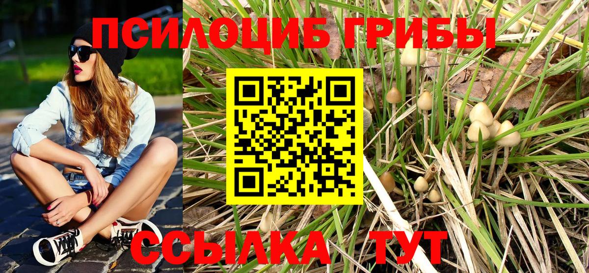 Галлюциногенные грибы мицелий Торжок