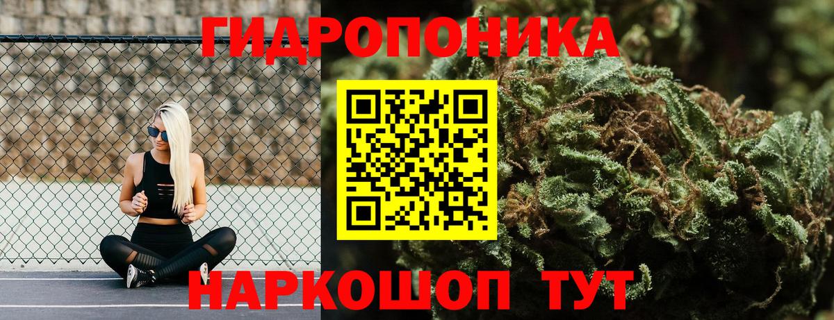 МАРИХУАНА план Торжок